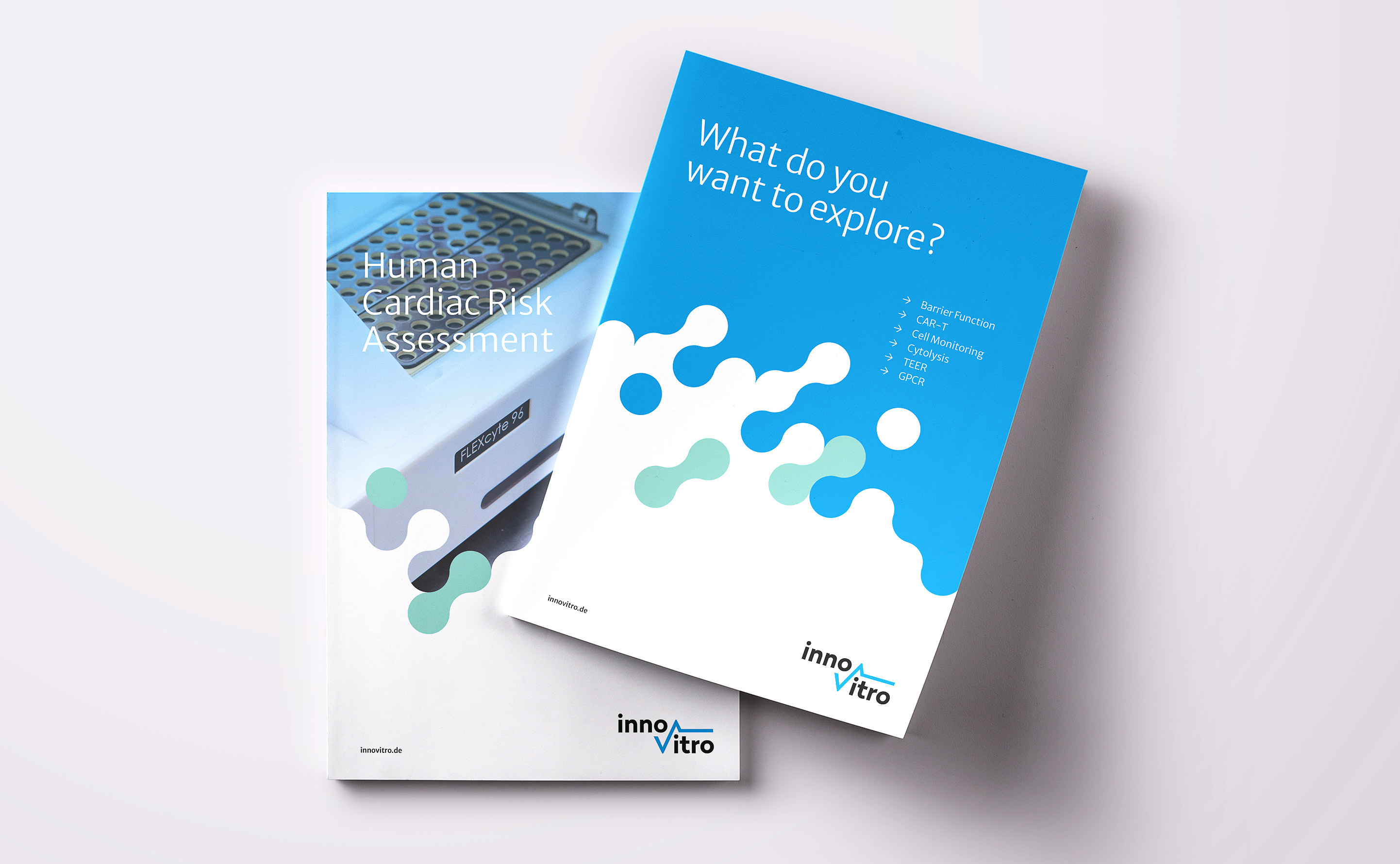 innovitro-flyer-cover.jpg